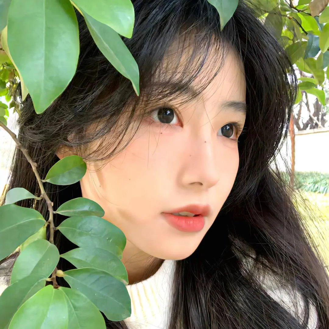 卡洛娜走丢了